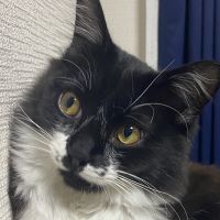 おかるる 会員画像
