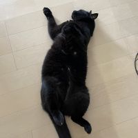 アンチョビ0609 会員画像