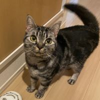 takeregas 会員画像