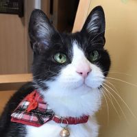 いーち 会員画像