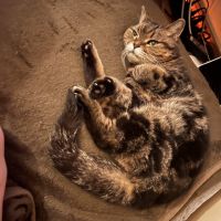 黒狐さん 会員画像