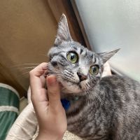 チバさん 会員画像