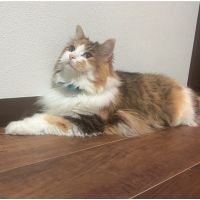 Marino@ 会員画像