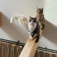 ゆっくる 会員画像