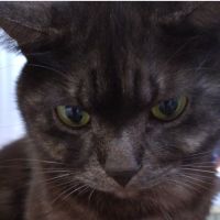 テテさん 会員画像