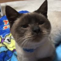 きのぼん 会員画像