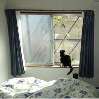 シキナ 会員画像