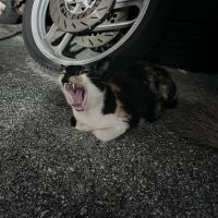 むむさんさん