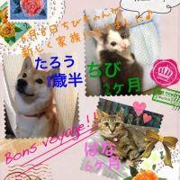 みっちいさん