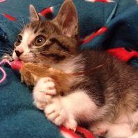 やまなか 会員画像