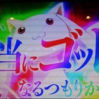 りるりるりる 会員画像