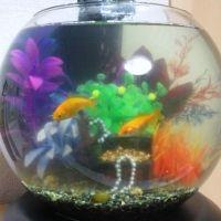 doramiちゃん 会員画像