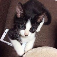 8ひじき 会員画像