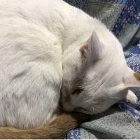りゅーき 会員画像