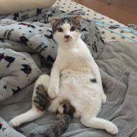 きらゆず 会員画像