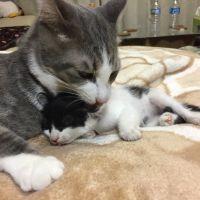 会員画像