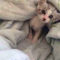 みっくん0829 会員画像