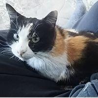 うめまさ