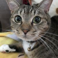 菊花8228 会員画像