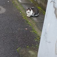 とつとつ 会員画像