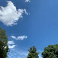 空ちゃんの母 会員画像