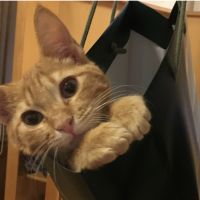 タンちん 会員画像