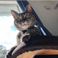 ミージの父 会員画像