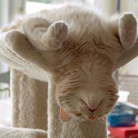 komaricyan 会員画像