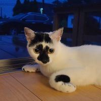 まつ坊24 会員画像