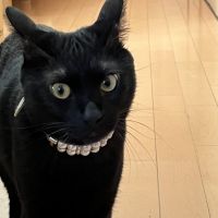 エグチ 会員画像