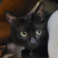 ゆーいち1 会員画像