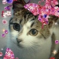 ともひめたん 会員画像