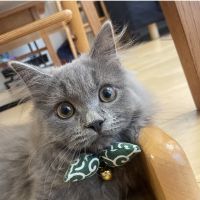 ひまごろ 会員画像