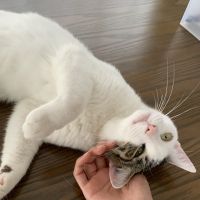 sakur_a 会員画像