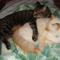 くじら666 会員画像