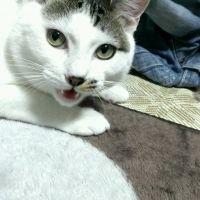 にゃら美 会員画像