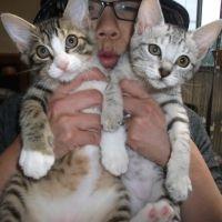 ロンの母 会員画像