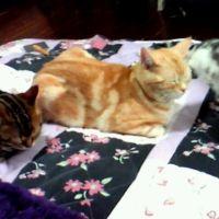 み~すけ 会員画像