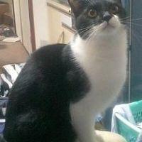 ボビー 会員画像