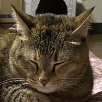 まさおじさんさん