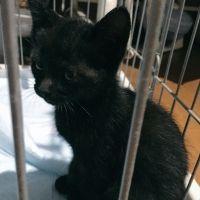 りょっくん 会員画像