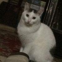 いっちゃん! 会員画像