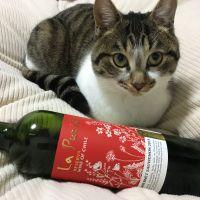 マルマルマルオ 会員画像