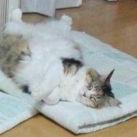 依慧 会員画像