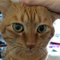 びさおさん