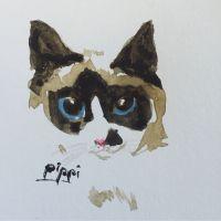 チェチェ 会員画像