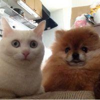 会員画像