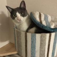 たかきよ 会員画像