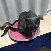 うっく 会員画像