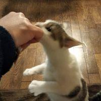 あくてぃ 会員画像